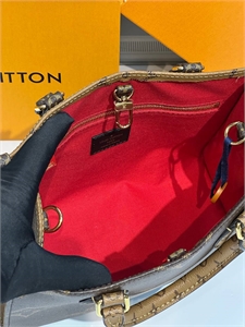 Сумка LOUIS VUITTON 170403