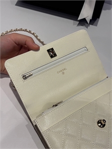 Сумка CHANEL 170724