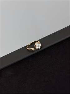 Браслет LOUIS VUITTON 170737