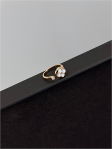 Серьги LOUIS VUITTON 170739