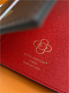 Обложка  LOUIS VUITTON 171699