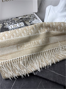 Шарф DIOR 171834