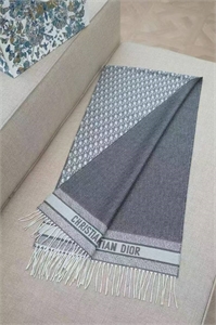 Шарф DIOR 171843