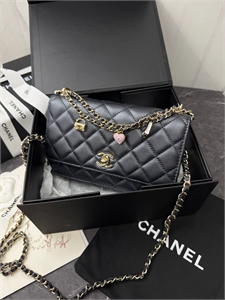 Сумка CHANEL 171846