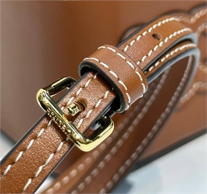 Сумка CELINE 172238