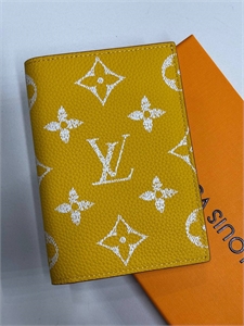 Обложка  LOUIS VUITTON 172273