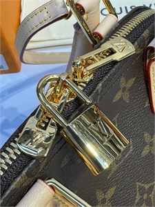 Сумка LOUIS VUITTON 172681