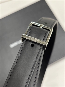 Сумка YSL 172817