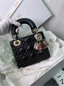 Сумка DIOR 172899