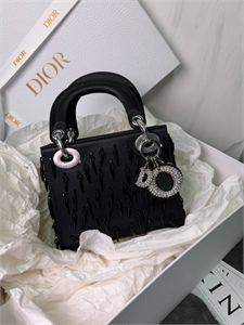 Сумка DIOR 172950