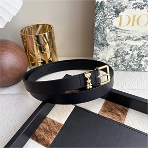 Ремень DIOR 172968