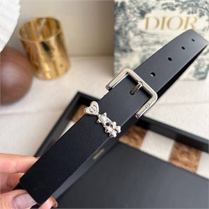 Ремень DIOR 172969