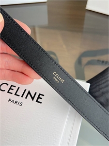 Ремень CELINE 172971