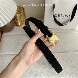 Ремень CELINE 172981