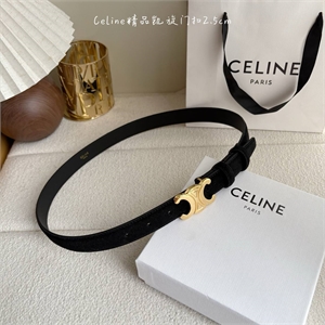 Ремень CELINE 172981