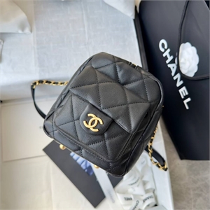 Сумка CHANEL 172994