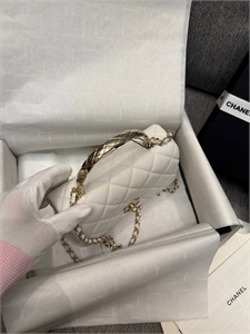 Сумка CHANEL 173068