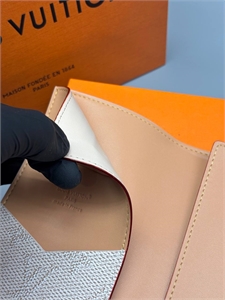 Обложка  LOUIS VUITTON 173146