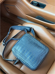 Сумка ZILLI из кожи крокодила 173522