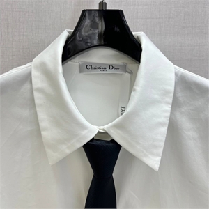 Рубашка DIOR 173729