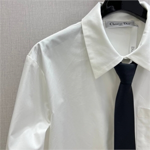 Рубашка DIOR 173729