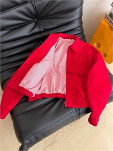 Ветровка 173745