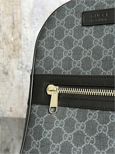 Сумка GUCCI 173883