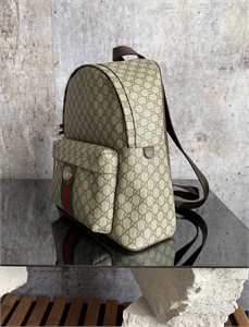 Рюкзак  GUCCI 173886