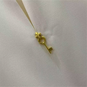 Футболка Schiaparelli 174520