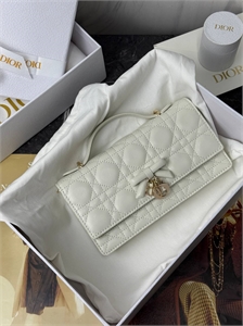 Сумка DIOR 174640