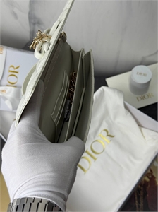 Сумка DIOR 174640