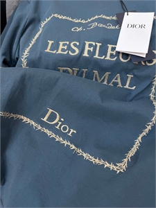 Футболка DIOR 175005