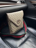 сумка Gucci 16779 - фото 49793