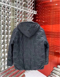 куртка  Louis Vuitton 102948