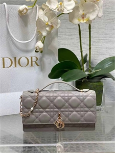 Сумка DIOR 103831 - фото 98357